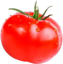 tomato