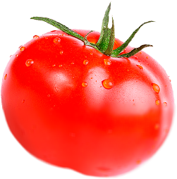 tomato